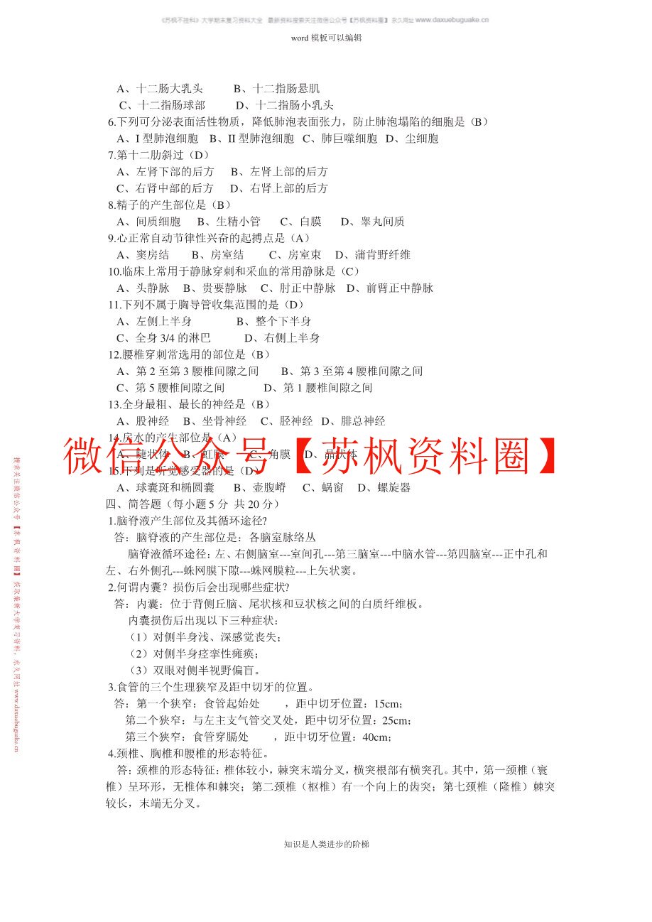 解剖学基础